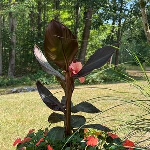 Elegant Faux Floral Arrangement with Brown and Pink Hues